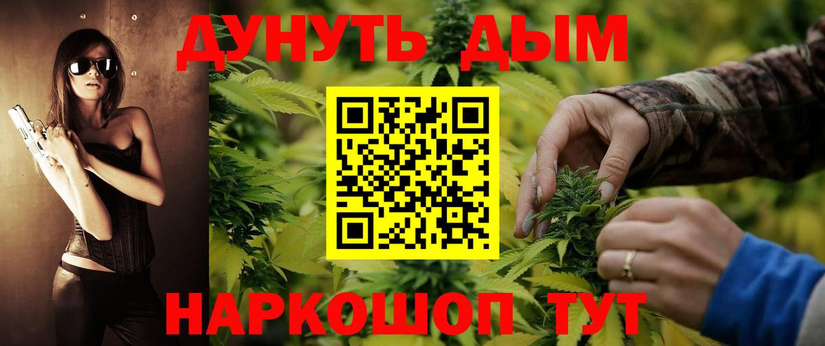 Бошки Шишки план  Конопля конопля  Кохма  Вход с VPN  Каннабис марихуана 